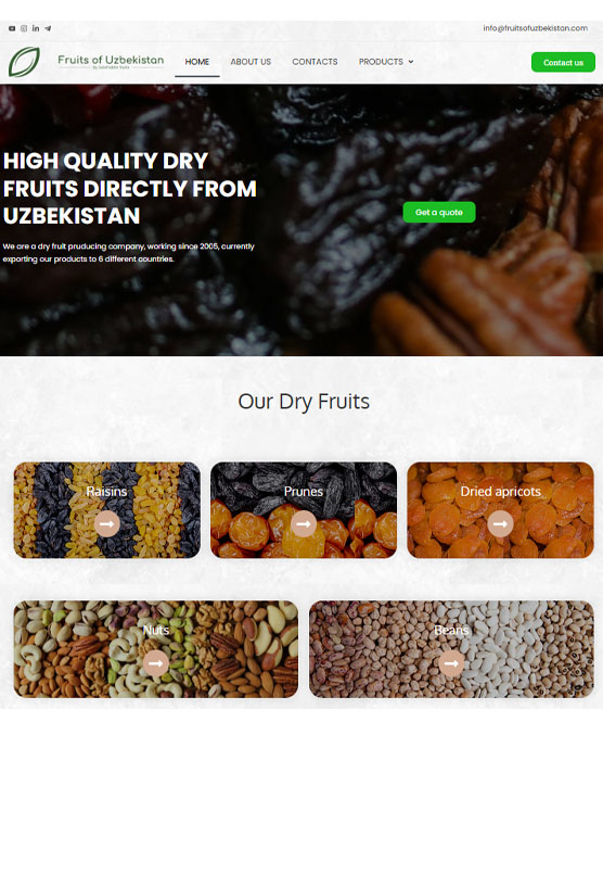 marketing xizmatlari - Fruits of Uzbekistan - web site